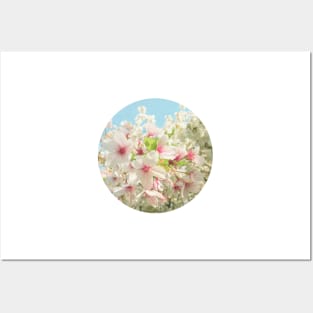 Spring Blossom Posters and Art